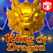 Hỗ trợ qua Live Chat 24/7